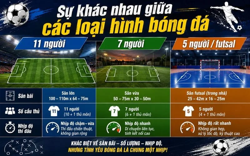 Có Bao Nhiêu Cầu Thủ Trong 1 Đội Bóng? Theo Luật Hiện Hành